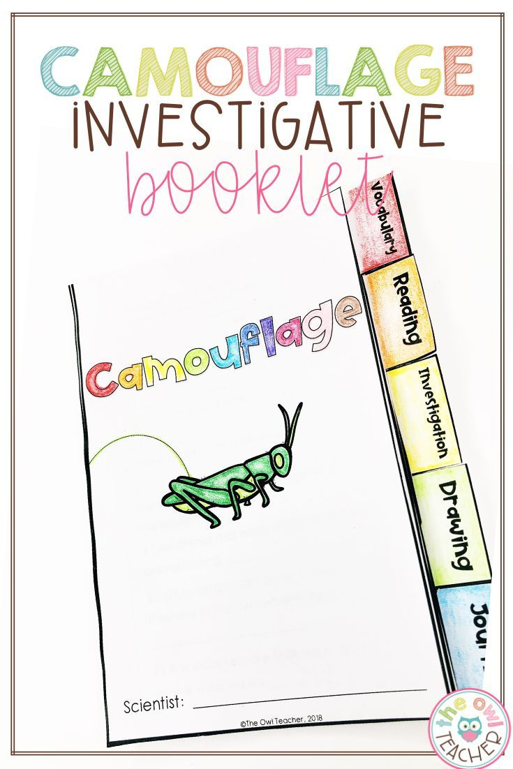 Camouflage Investigation Tabbed Booklet (Adaptations