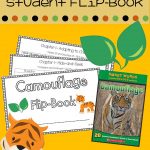 Camouflage Smart Words Reader Flipbook | Camouflage