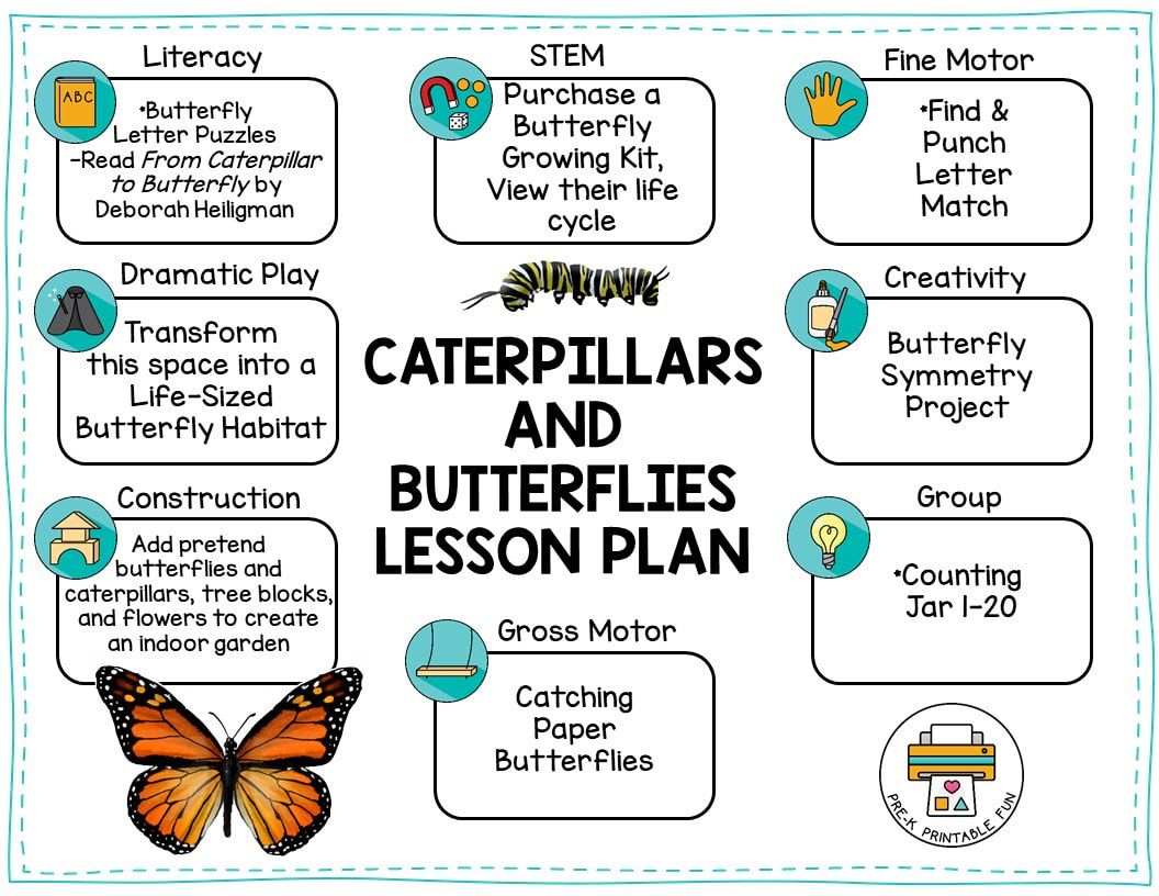 Caterpillar And Butterflies Preschool Activities, Free