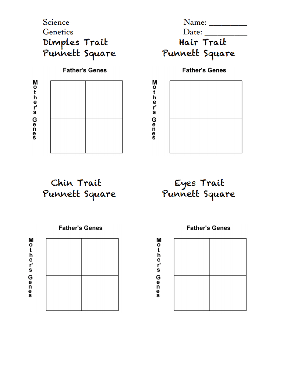 Celebrity Punnett Squares Handout.pdf | Punnett Squares