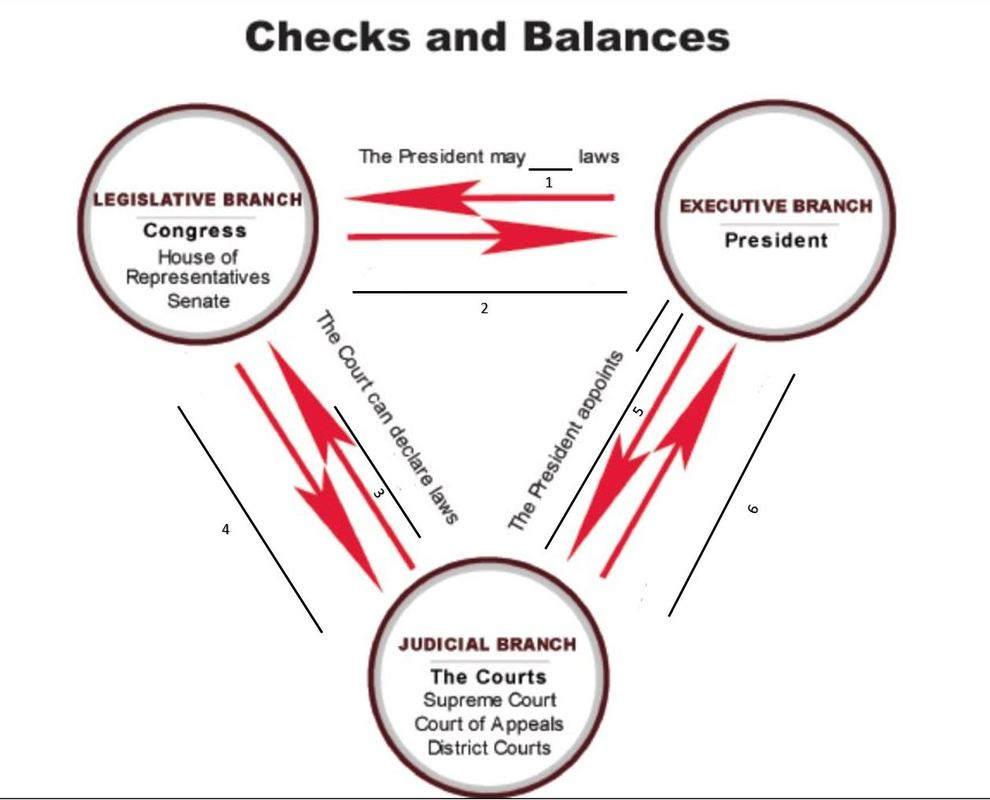 Checks &amp;amp; Balances Lesson - Regina Santangelo&amp;#039;sportfolio