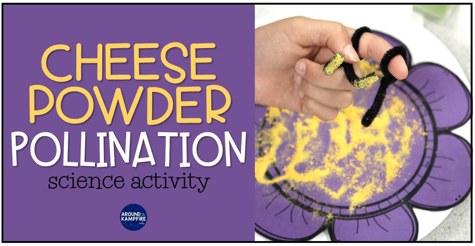 Cheese Powder Pollination Activity For Kids - Around The