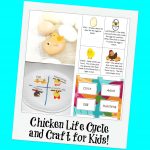 Chicken Life Cycle And A Paper Plate Craft For Kids! | Wikki