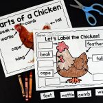 Chickens: An Animal Study  