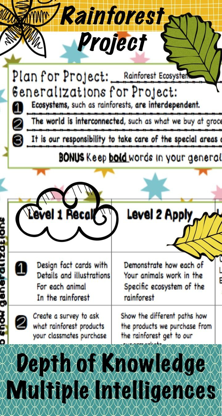 Choice Boards And Rubrics: The Next Level -- Plus Bonus