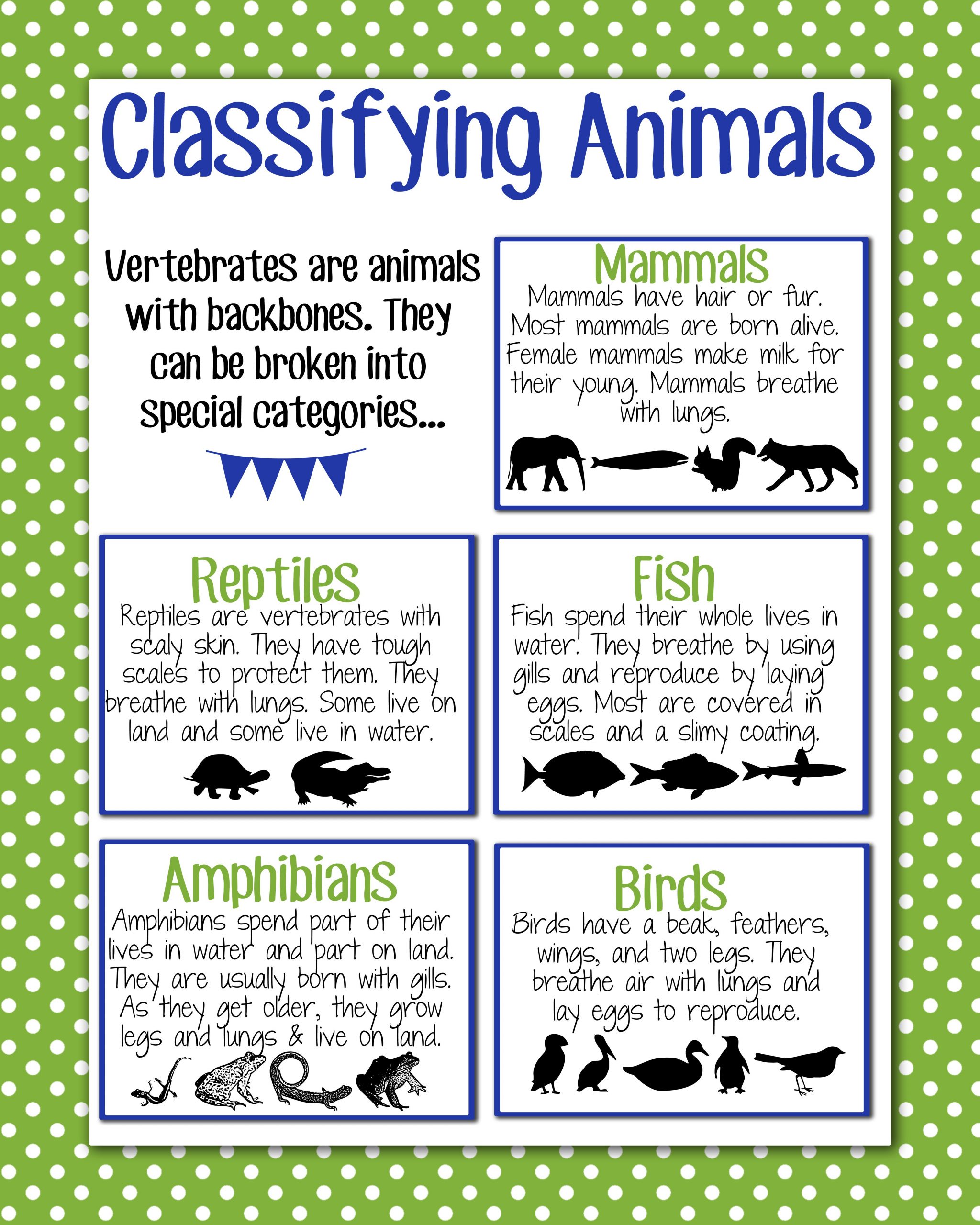 Classifying Animals Anchor Chart | Kindergarten Science