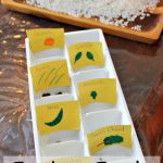 Comparing And Sorting Seeds   Let The Gardening Begin | Seed