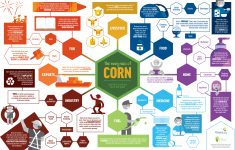 Corn Lesson Plans Kindergarten