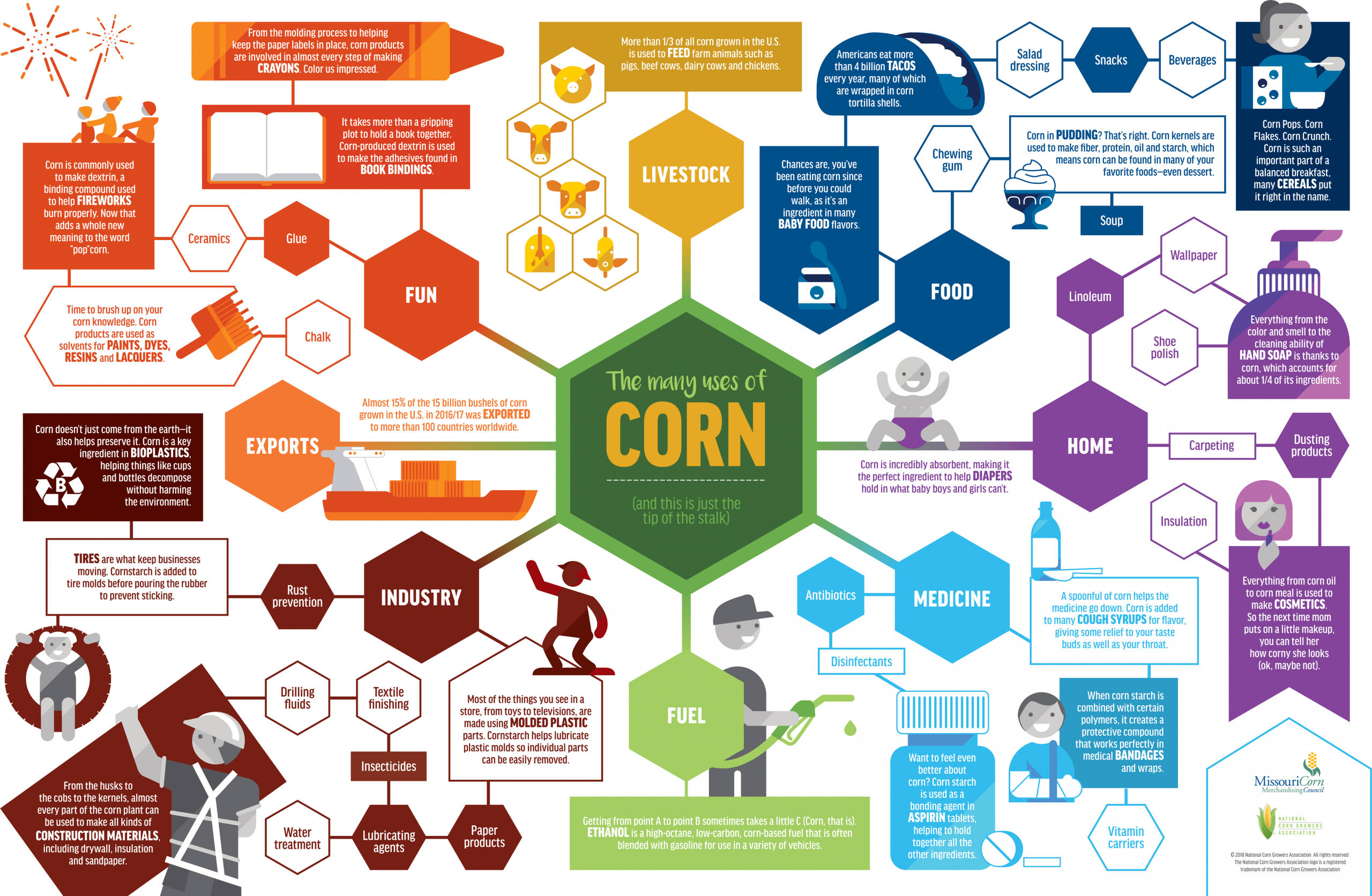 Corn In The Classroom - Missouri Corn Growers Association