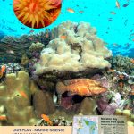 Curriculum Linked Materials – Coralwatch