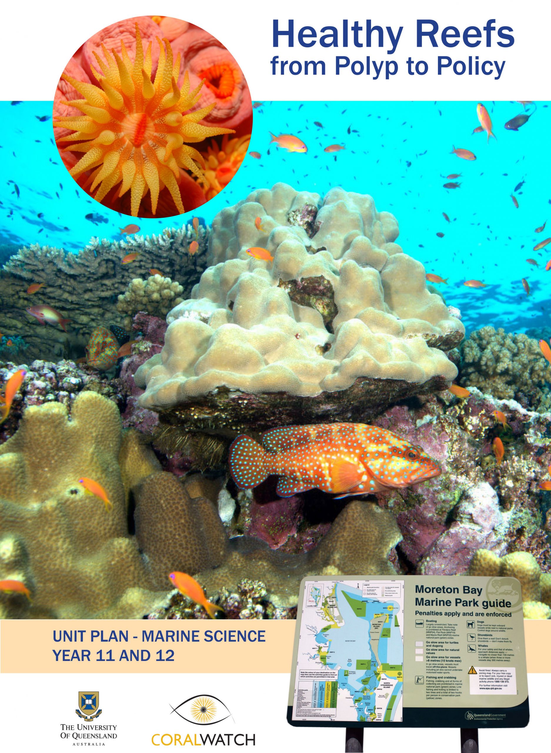 Curriculum Linked Materials – Coralwatch