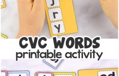 Cvc Words Lesson Plan Kindergarten