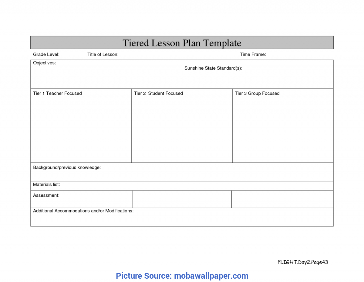 Differentiated Instruction Lesson Plan Template - Akali