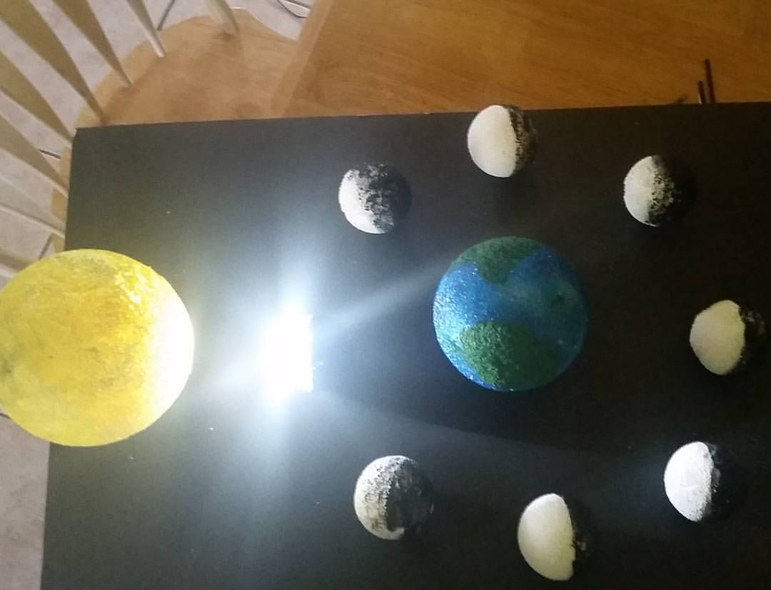 Earth Science Project. Lunar Phases. This Was My Son&amp;#039;s 6Th