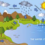 Earth's Water Supply Lesson Plans For Elementary | Water