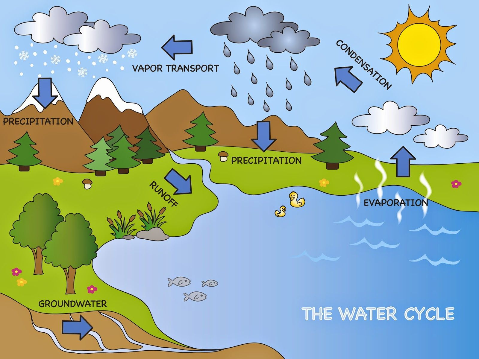 Earth&amp;#039;s Water Supply Lesson Plans For Elementary | Water