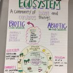 Ecosystem Anchor Chart | 6Th Grade Science, Fourth Grade