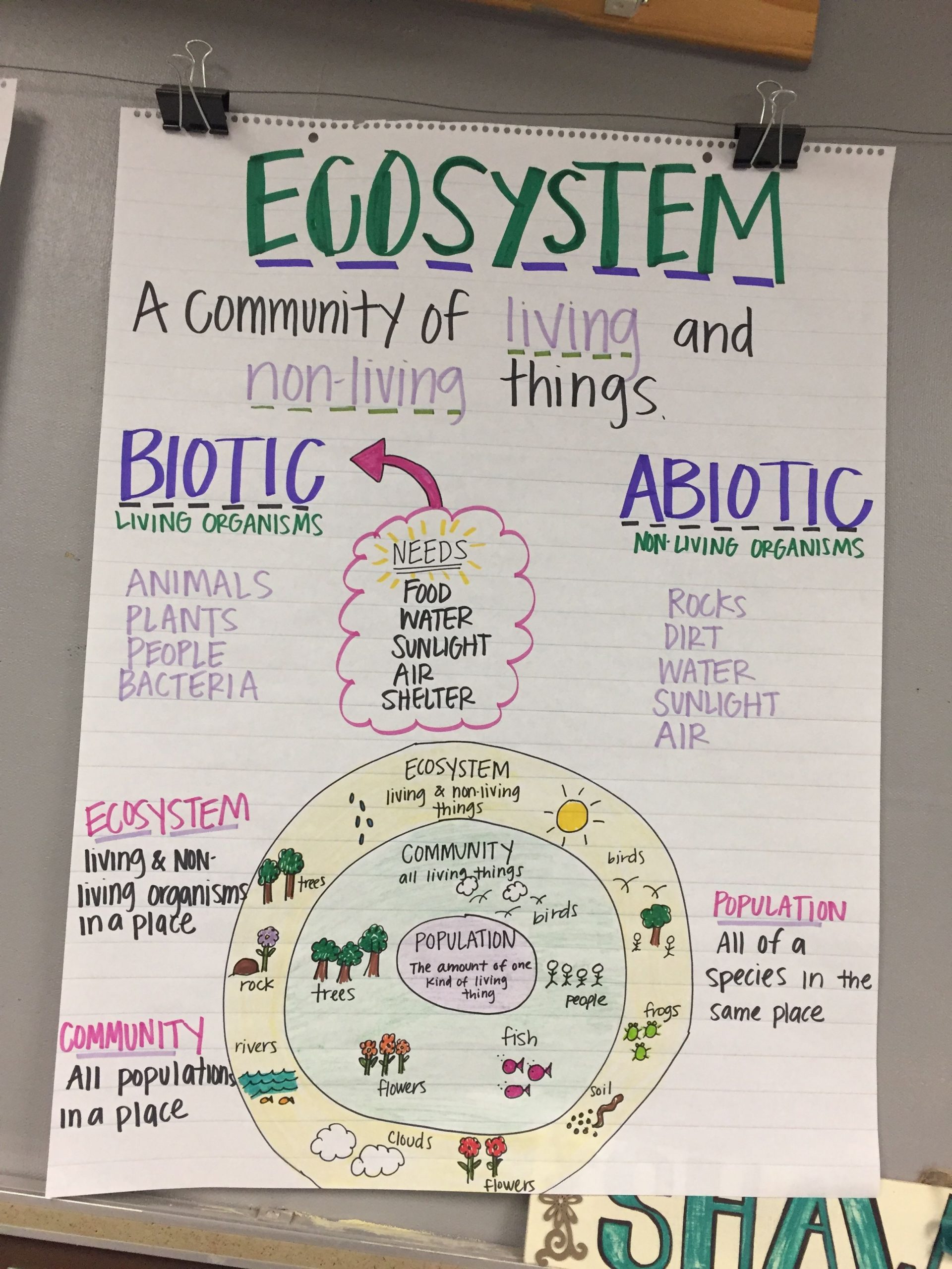 Ecosystem Anchor Chart | 6Th Grade Science, Fourth Grade