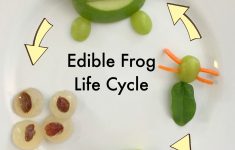 Frog Lesson Plans For Preschool
