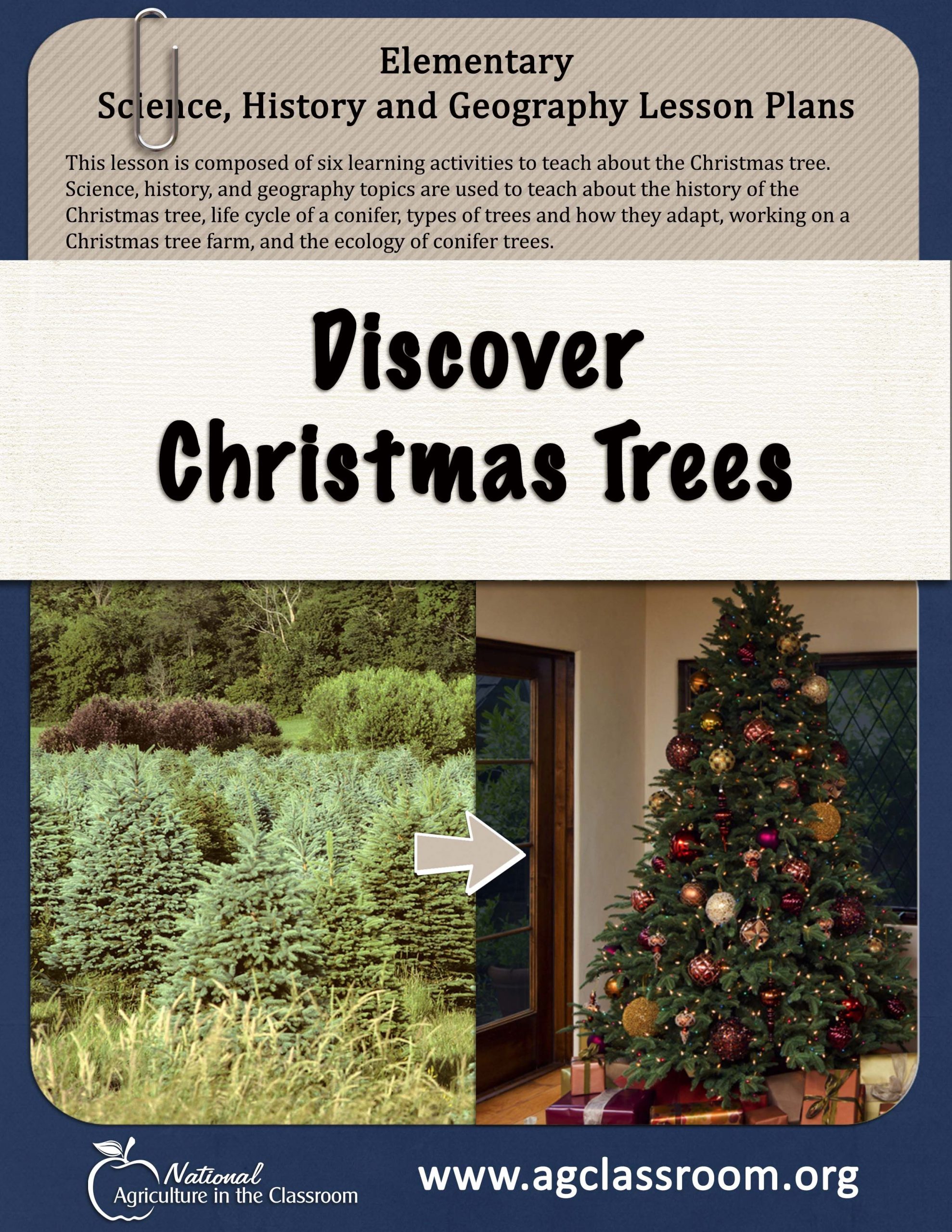Elementary Lesson Plan All About Christmas Trees. Integrates