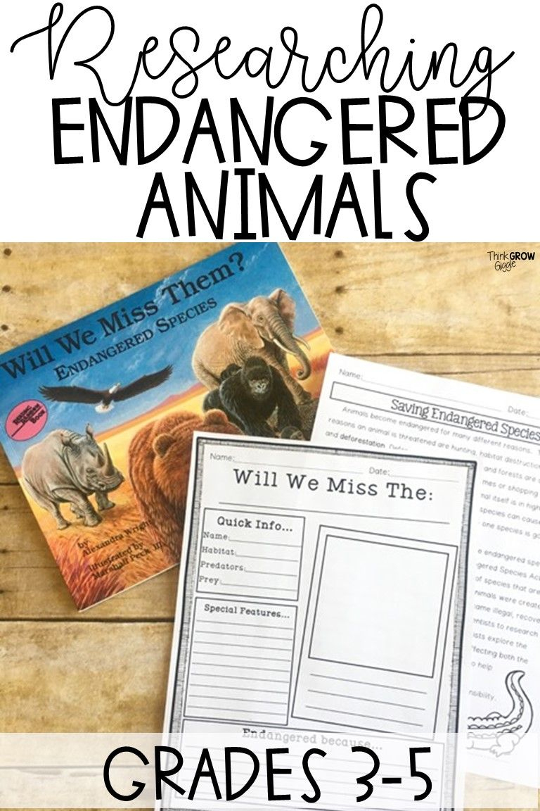 Endangered Animals Research Project With Digital Option