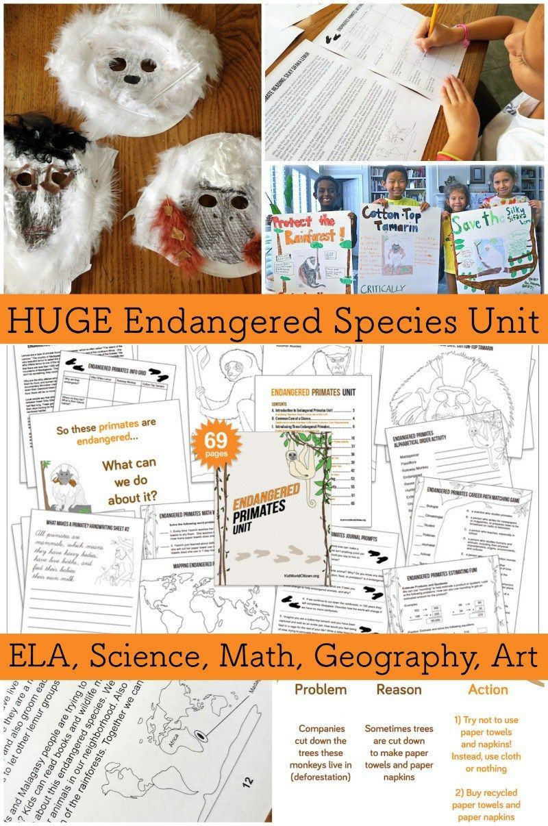 Endangered Species: Primates Lesson Plan For Kids | Animal