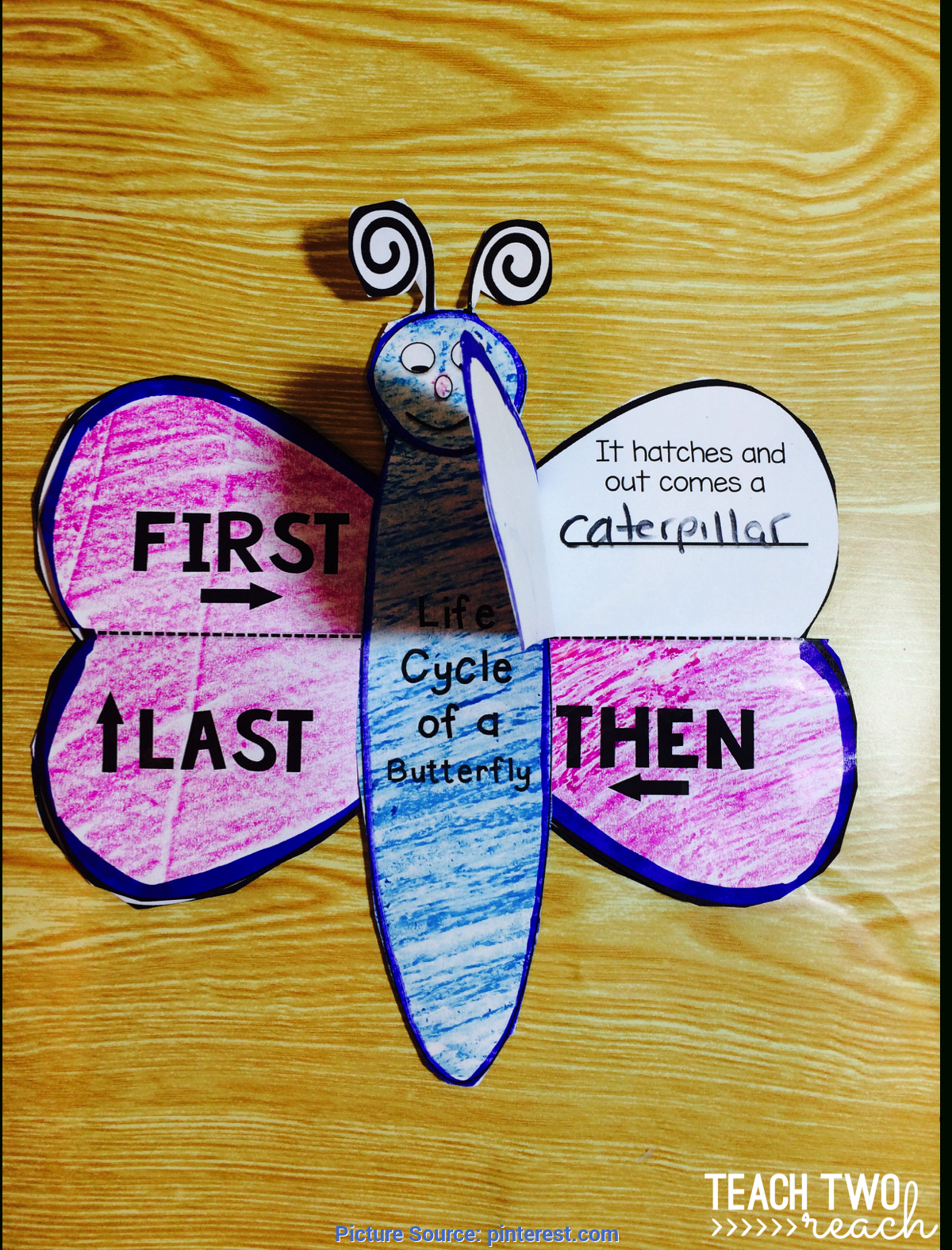 Excellent Butterfly Lesson Plans 2Nd Grade Butterfly Life