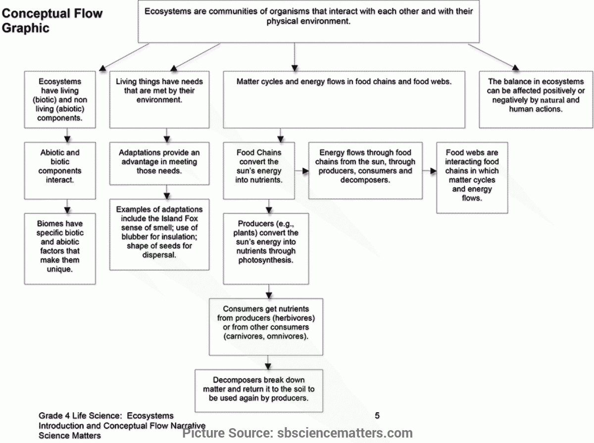 Excellent Lesson Plan 6Th Grade Science 4Th - Life Science