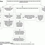 Excellent Lesson Plan 6Th Grade Science 4Th   Life Science