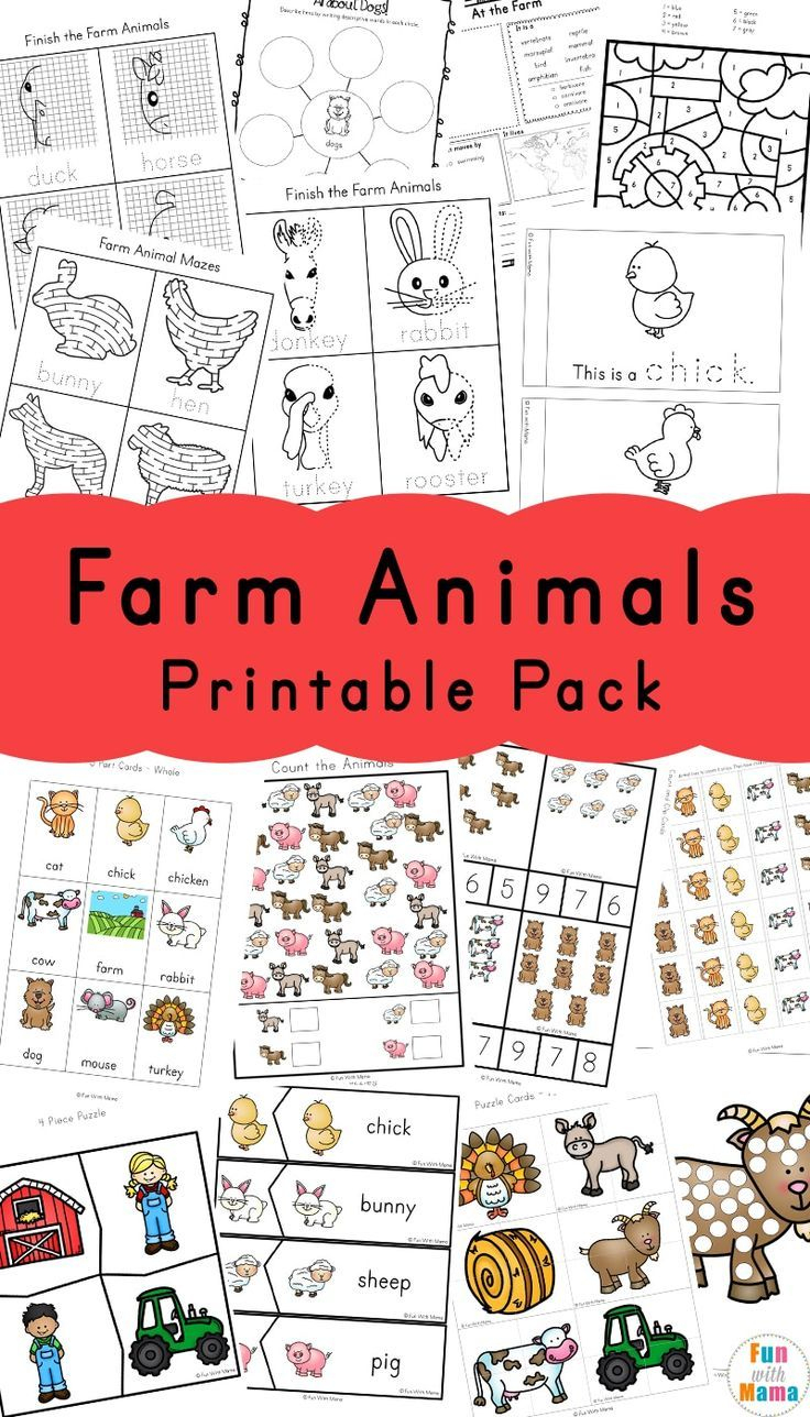 Farm Animal Activities For Preschoolers | Farm Theme