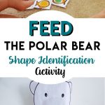 Feed The Polar Bear   Shapes Identification Activity | Bear