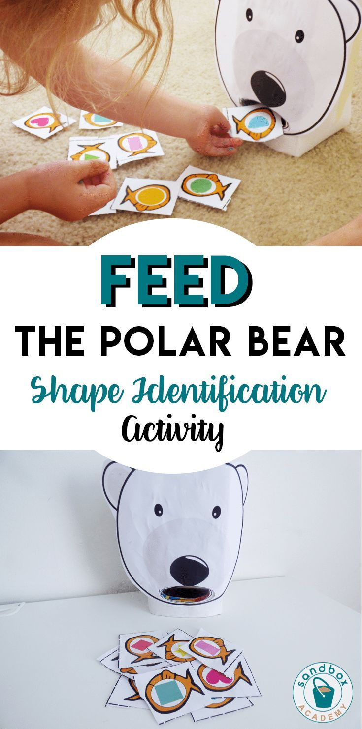 Feed The Polar Bear - Shapes Identification Activity | Bear