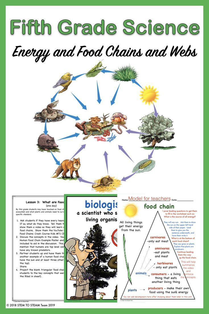 Fifth Grade Ngss 5-Ls1-2-1: Life Science Unit And 5-Ps3-1