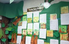 Rainforest Lesson Plans For 1st Grade