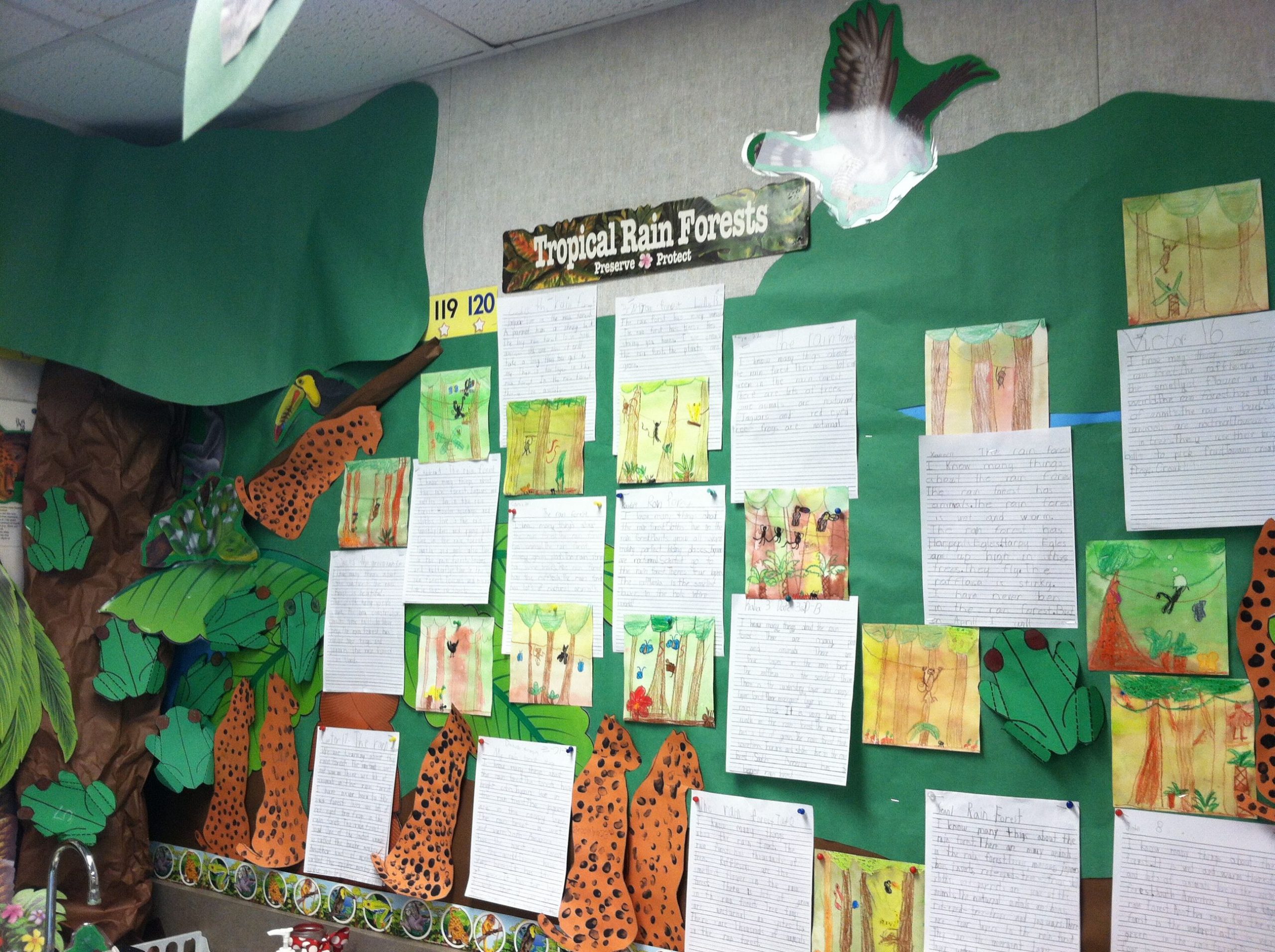 First Grade Rainforest Unit. Mural With Kids Reports And Art