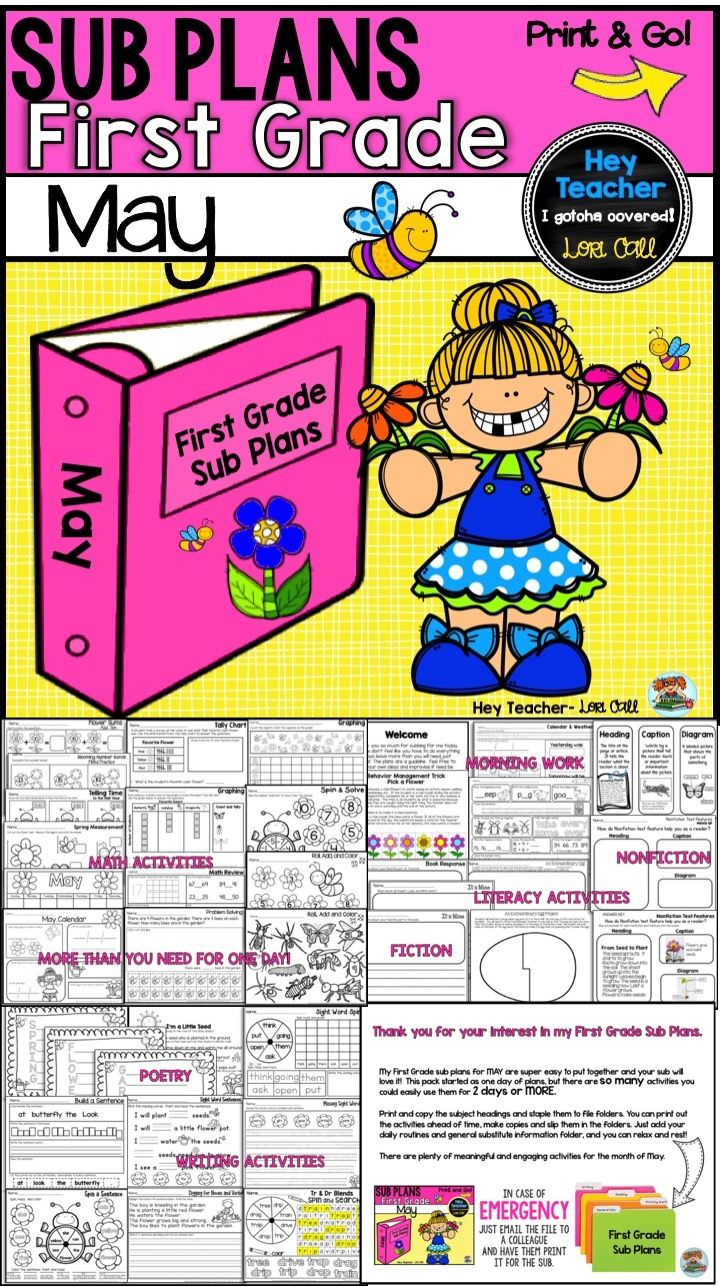 First Grade Sub Plans May-Spring | Math Lesson Plans, Lesson