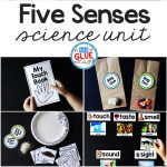 Five Senses Science Unit Hands On Learning Activity