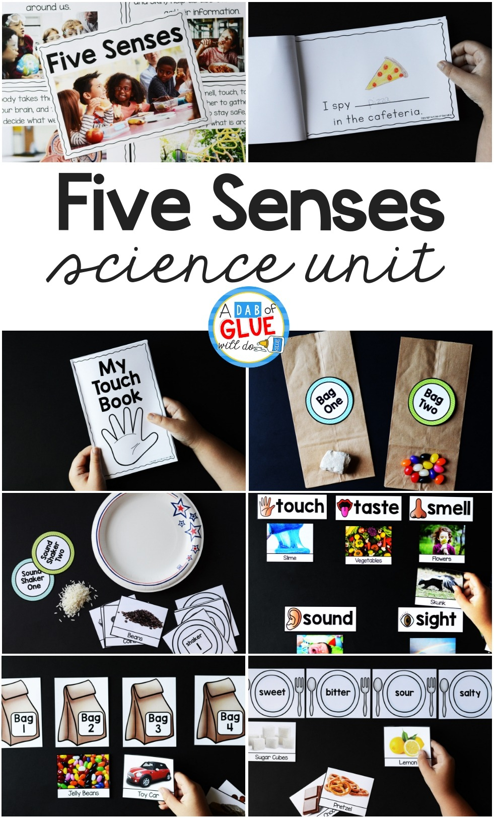 Five Senses Science Unit Hands-On Learning Activity