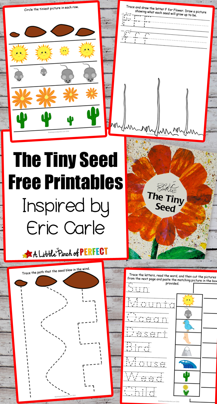 Flower Potato Stamping Craft And The Tiny Seed Free Printables -