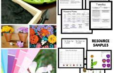 Lesson Plan On Flowers For Preschool