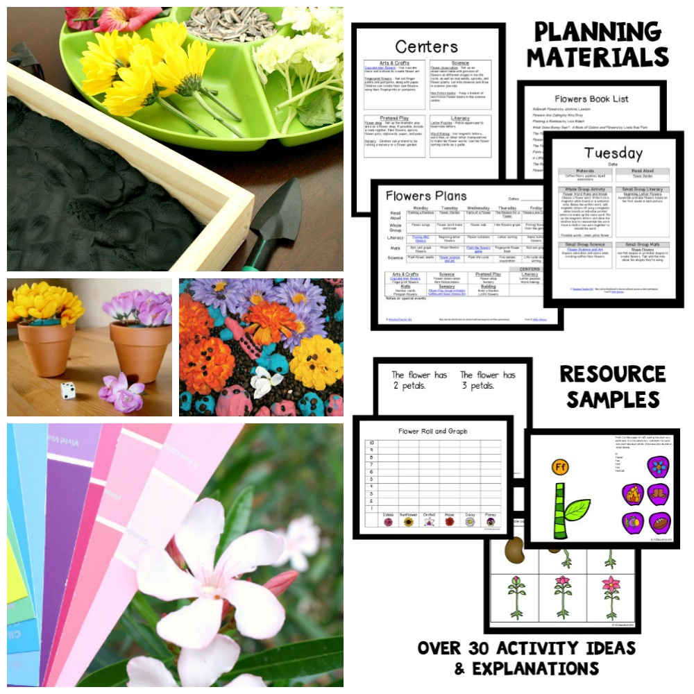 Flower Theme Preschool Activities - Fantastic Fun &amp;amp; Learning