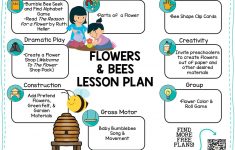 Bee Lesson Plans For Preschool