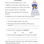 Fluency, Comprehension, And Vocabulary | Literacy Worksheets