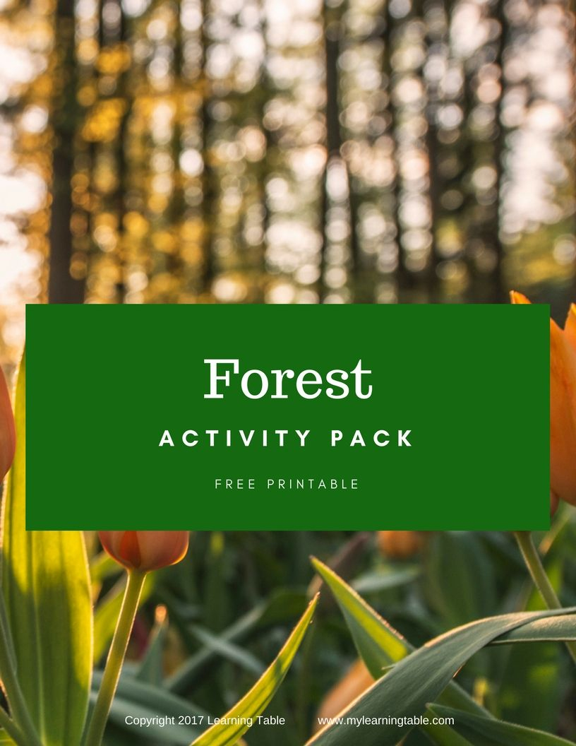 Forest Printable Pack | Forest School Activities, Outdoor