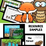 Forest Theme Home Preschool Lesson Plans | Preschool Lesson
