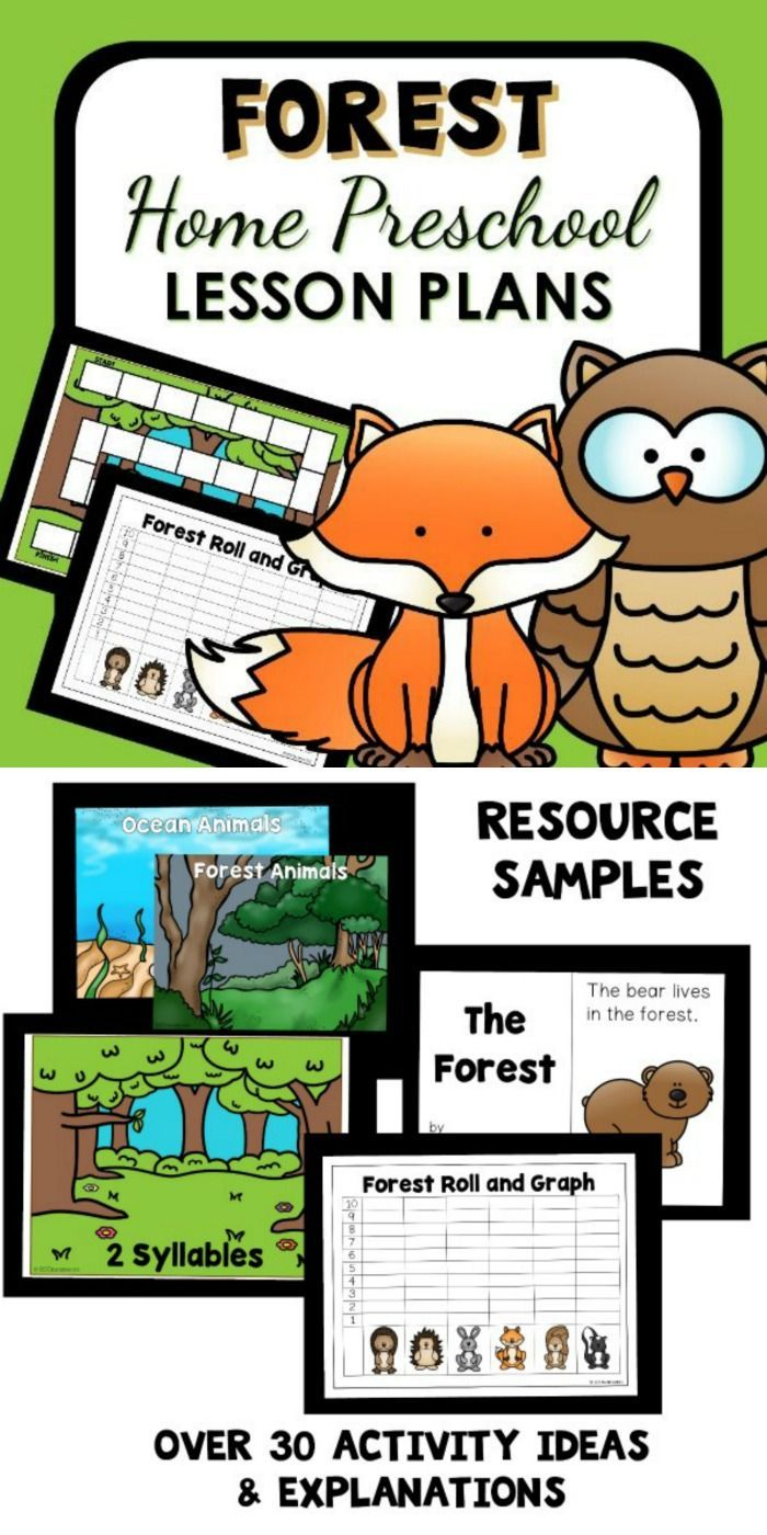 Forest Theme Home Preschool Lesson Plans | Preschool Lesson