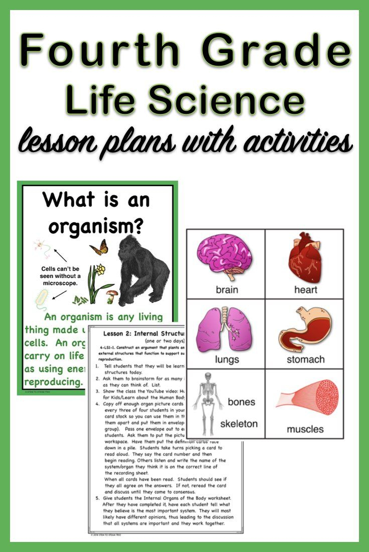 Fourth Grade Ngss 4-Ls1: Life Science Unit | Fourth Grade