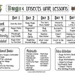 Free Bugs & Insects Preschool Unit Plan   Preschool Weekly