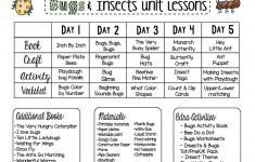 Insect Lesson Plans
