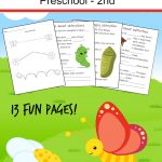 Free Butterfly Lesson Pack | Butterfly Lessons, Butterfly